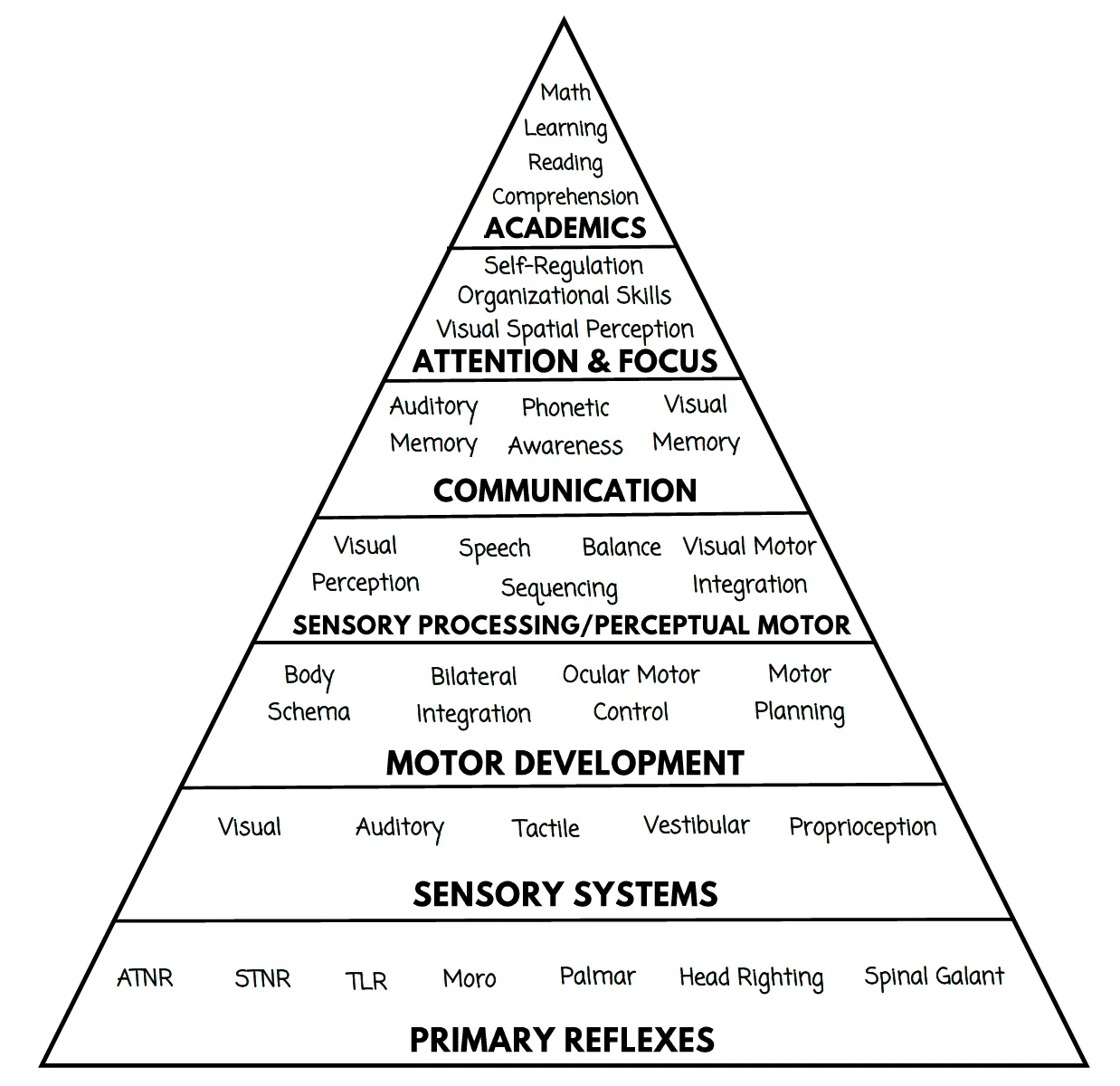 Developmental pyramid: primary reflexes at the base, then sensory systems, motor development, sensory processing and perceptual motor skills, communication, attention and focus, and academics at the top.