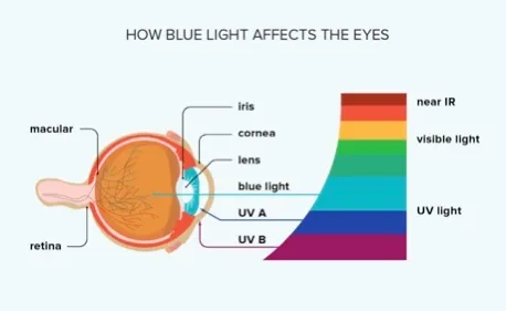 The visible light spectrum from violet and blue through green, yellow and red, showing the short blue wavelengths at the high-energy end