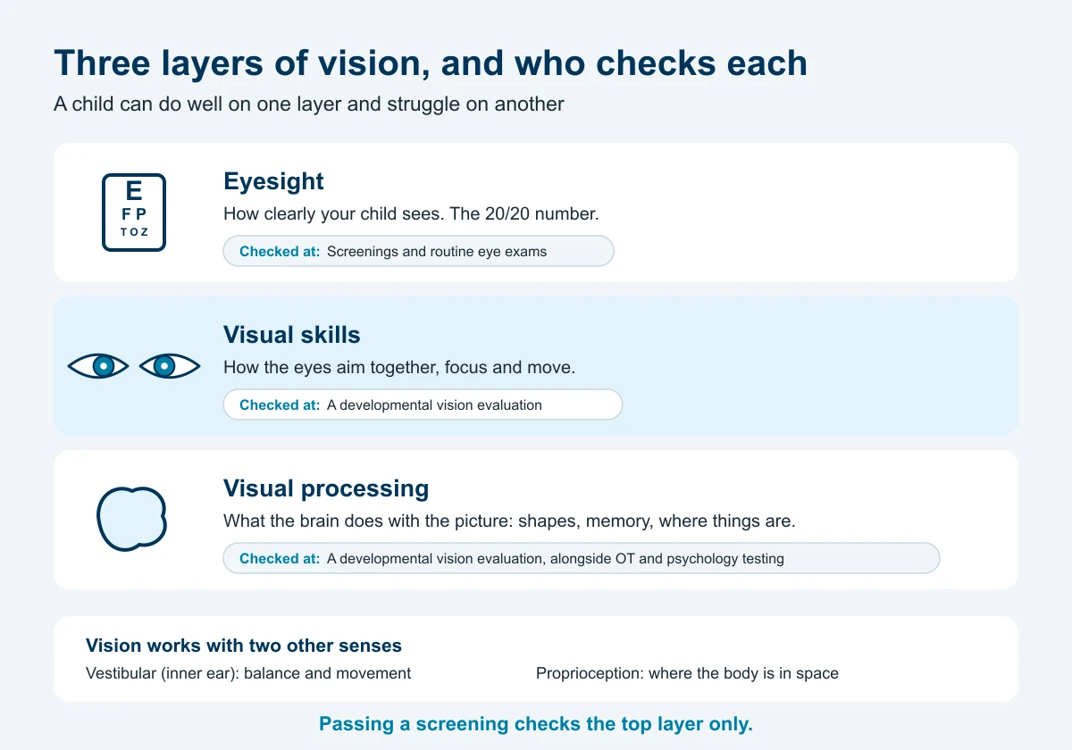 Three layers of vision and who checks each: eyesight, checked at screenings and routine eye exams; visual skills, checked at a developmental vision evaluation; and visual processing, checked at a developmental vision evaluation alongside OT and psychology testing. Vision works with the vestibular and proprioceptive senses