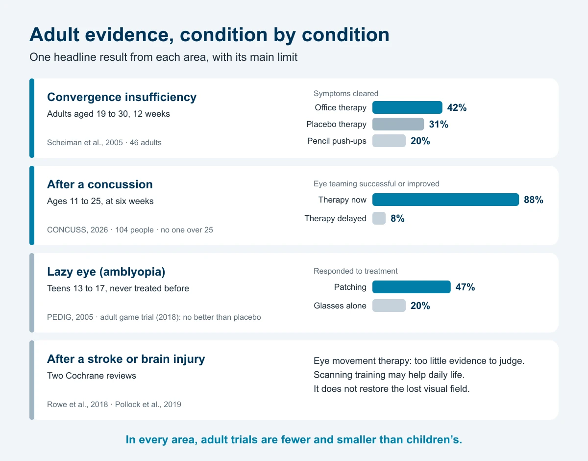 Chart of adult evidence by condition. Convergence insufficiency, adults 19 to 30: symptoms cleared in 42% with office therapy, 31% with placebo therapy, 20% with pencil push-ups. After concussion, ages 11 to 25: 88% improved with therapy now versus 8% with therapy delayed. Lazy eye, teens 13 to 17: 47% responded to patching versus 20% with glasses alone. After stroke or brain injury: too little evidence to judge eye movement therapy, and scanning training does not restore the visual field